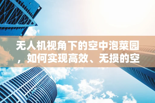 无人机视角下的空中泡菜园，如何实现高效、无损的空中监测？