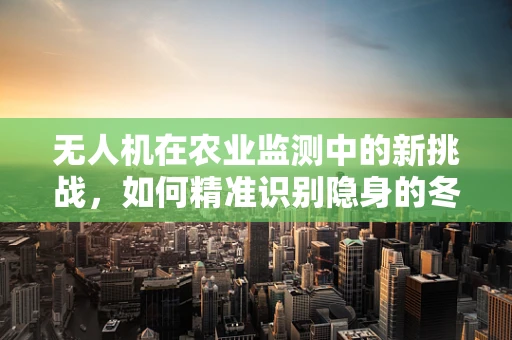 无人机在农业监测中的新挑战，如何精准识别隐身的冬瓜田？