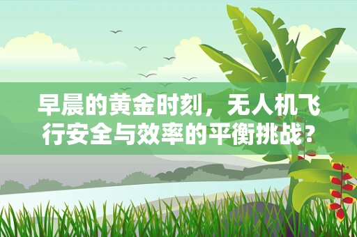 早晨的黄金时刻，无人机飞行安全与效率的平衡挑战？