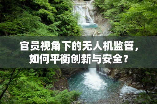 官员视角下的无人机监管，如何平衡创新与安全？