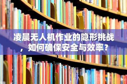 凌晨无人机作业的隐形挑战，如何确保安全与效率？