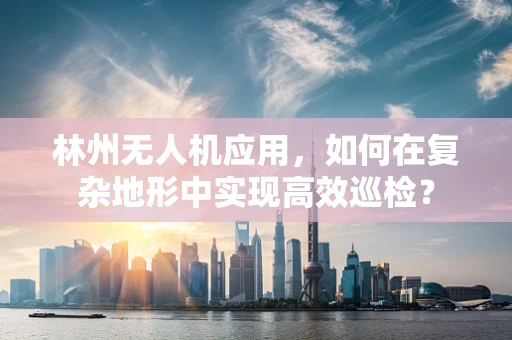 林州无人机应用，如何在复杂地形中实现高效巡检？