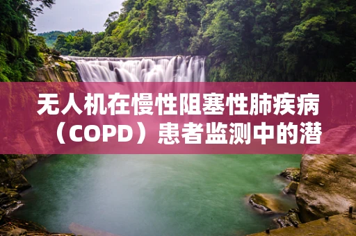 无人机在慢性阻塞性肺疾病（COPD）患者监测中的潜力与挑战