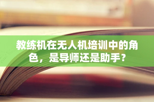 教练机在无人机培训中的角色，是导师还是助手？