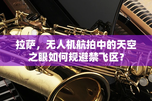 拉萨，无人机航拍中的天空之眼如何规避禁飞区？