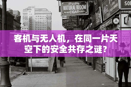 客机与无人机，在同一片天空下的安全共存之谜？