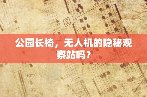 公园长椅，无人机的隐秘观察站吗？