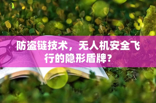 防盗链技术，无人机安全飞行的隐形盾牌？