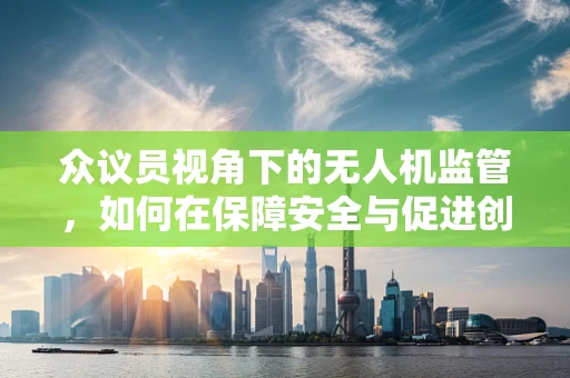 众议员视角下的无人机监管，如何在保障安全与促进创新间找到平衡？