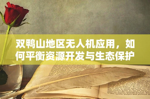 双鸭山地区无人机应用，如何平衡资源开发与生态保护？