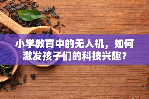 小学教育中的无人机，如何激发孩子们的科技兴趣？