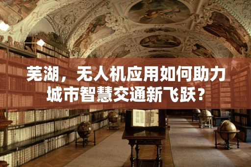 芜湖，无人机应用如何助力城市智慧交通新飞跃？