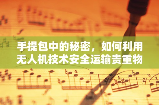 手提包中的秘密，如何利用无人机技术安全运输贵重物品？