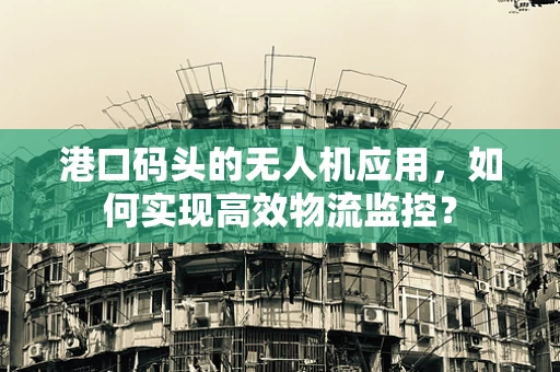 港口码头的无人机应用，如何实现高效物流监控？