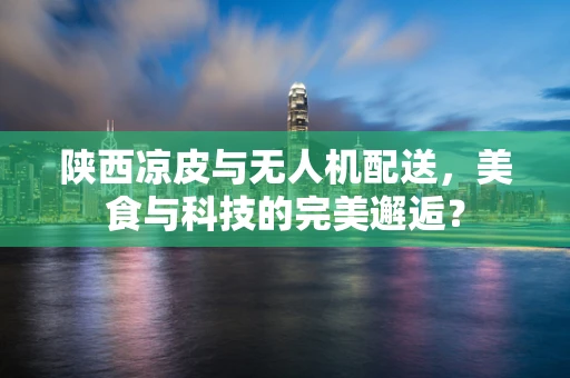 陕西凉皮与无人机配送，美食与科技的完美邂逅？
