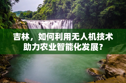 吉林，如何利用无人机技术助力农业智能化发展？