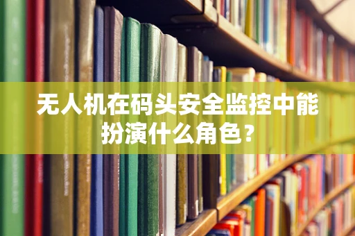无人机在码头安全监控中能扮演什么角色？