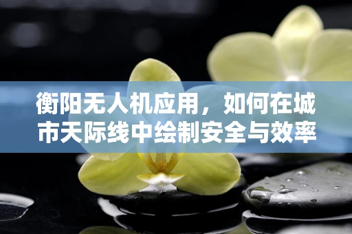 衡阳无人机应用，如何在城市天际线中绘制安全与效率的平衡？