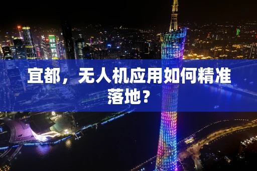 宜都，无人机应用如何精准落地？