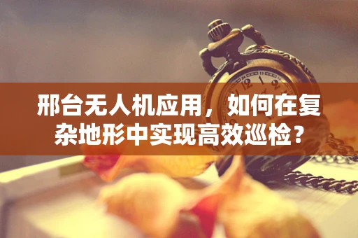 邢台无人机应用，如何在复杂地形中实现高效巡检？