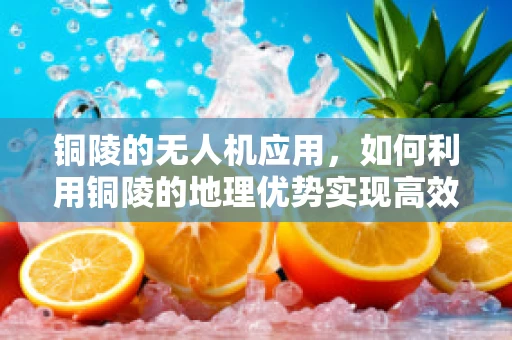 铜陵的无人机应用，如何利用铜陵的地理优势实现高效空中监测？