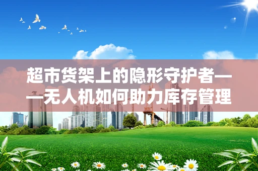 超市货架上的隐形守护者——无人机如何助力库存管理？