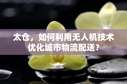 太仓，如何利用无人机技术优化城市物流配送？