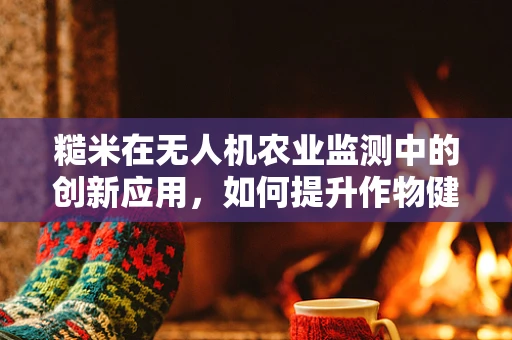 糙米在无人机农业监测中的创新应用，如何提升作物健康监测的精准度？