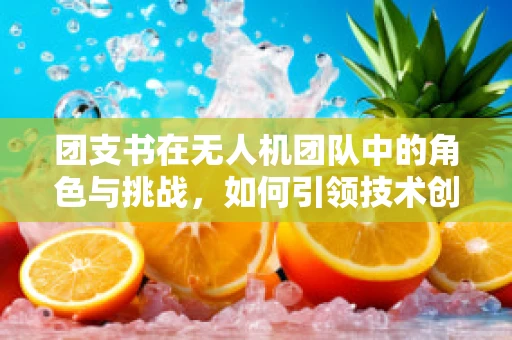 团支书在无人机团队中的角色与挑战，如何引领技术创新的‘空中力量’？