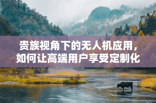 贵族视角下的无人机应用，如何让高端用户享受定制化飞行体验？