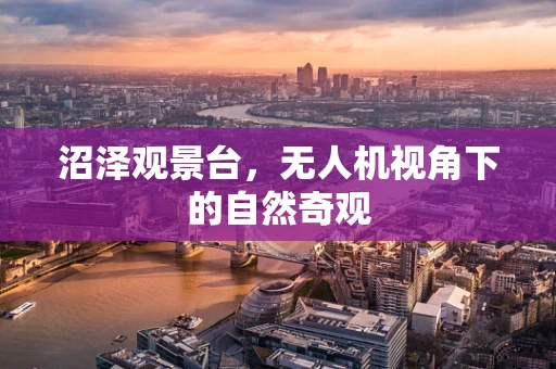 沼泽观景台，无人机视角下的自然奇观