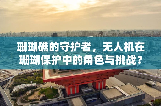 珊瑚礁的守护者，无人机在珊瑚保护中的角色与挑战？