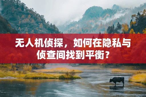 无人机侦探，如何在隐私与侦查间找到平衡？