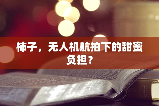 柿子，无人机航拍下的甜蜜负担？