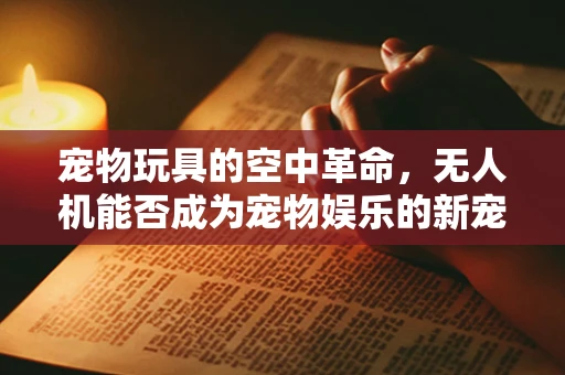 宠物玩具的空中革命，无人机能否成为宠物娱乐的新宠？