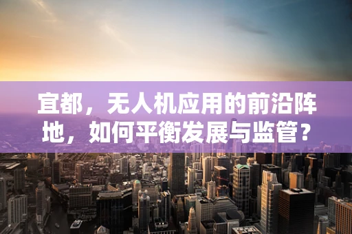 宜都，无人机应用的前沿阵地，如何平衡发展与监管？