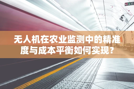 无人机在农业监测中的精准度与成本平衡如何实现？