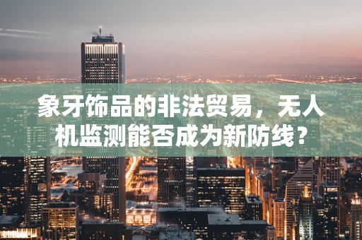 象牙饰品的非法贸易，无人机监测能否成为新防线？
