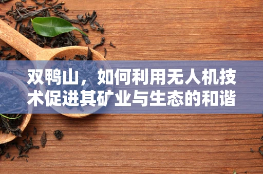 双鸭山，如何利用无人机技术促进其矿业与生态的和谐发展？