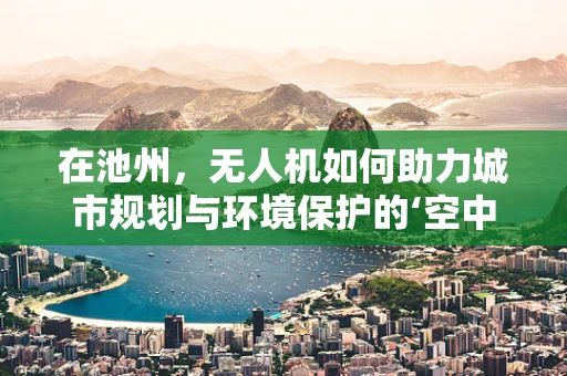 在池州，无人机如何助力城市规划与环境保护的‘空中视角’？