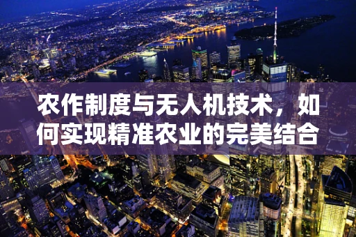 农作制度与无人机技术，如何实现精准农业的完美结合？