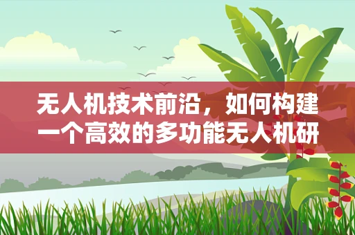 无人机技术前沿，如何构建一个高效的多功能无人机研究所？