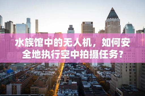 水族馆中的无人机，如何安全地执行空中拍摄任务？