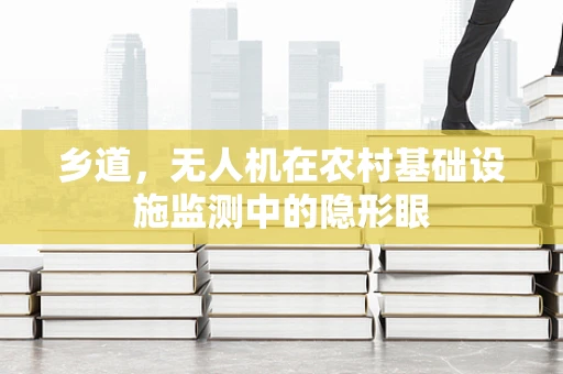 乡道，无人机在农村基础设施监测中的隐形眼