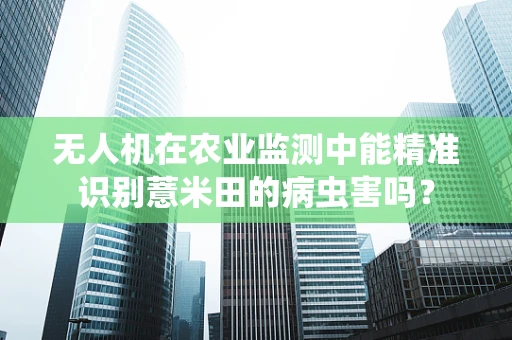 无人机在农业监测中能精准识别薏米田的病虫害吗？