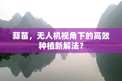 蒜苗，无人机视角下的高效种植新解法？