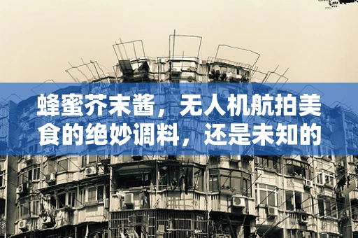 蜂蜜芥末酱，无人机航拍美食的绝妙调料，还是未知的空中挑战？