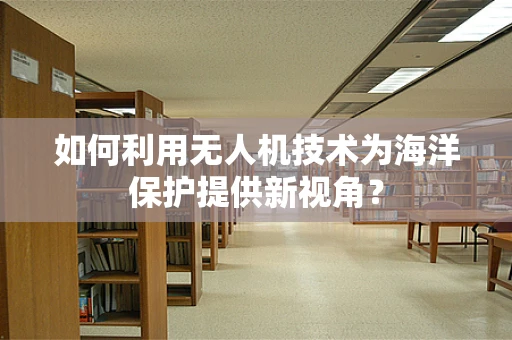 如何利用无人机技术为海洋保护提供新视角？