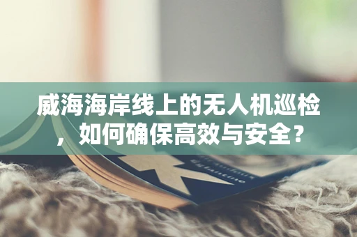 威海海岸线上的无人机巡检，如何确保高效与安全？