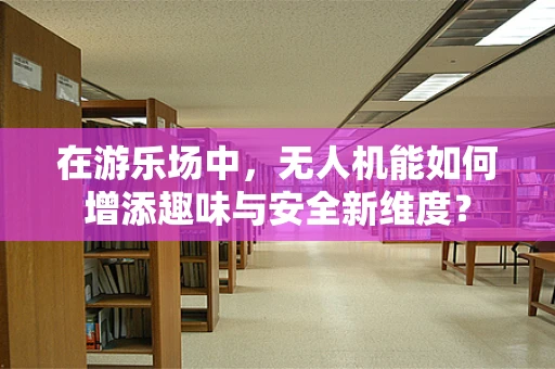 在游乐场中，无人机能如何增添趣味与安全新维度？